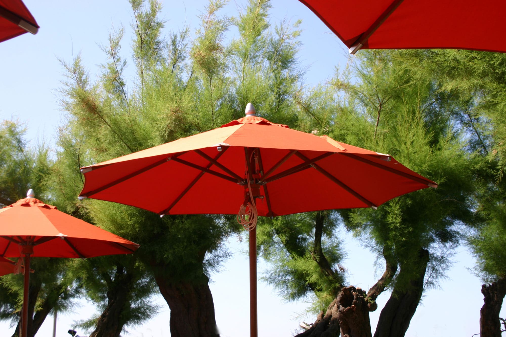 parasol bois rouge